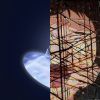 建另大成