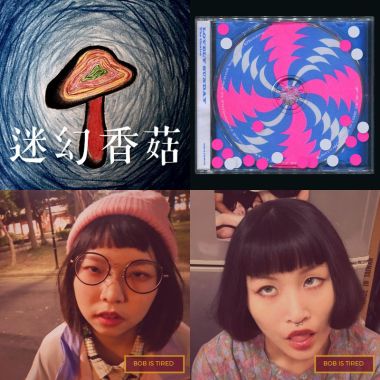 欸不要玩飼料