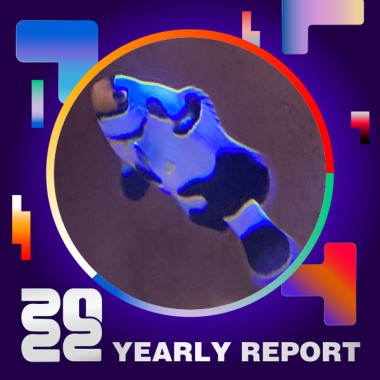 2022 個人年度精選