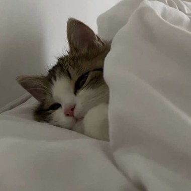 can’t sleep(´;ω;｀)