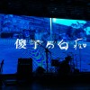 傻子与白痴