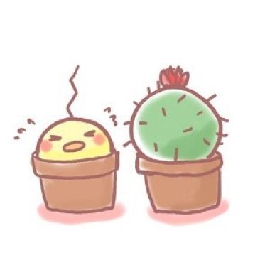 喜欢的声音