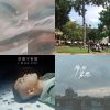 2021回顧plus