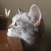 Playlist