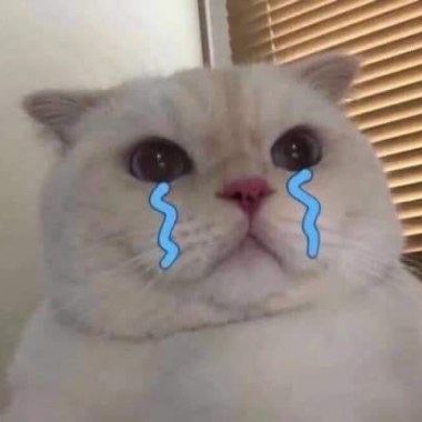 棻棻擾擾