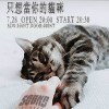 7/28台中迴響行前歌單