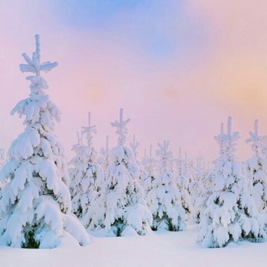 Winter love