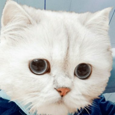 聽一下