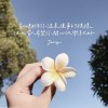 Love song