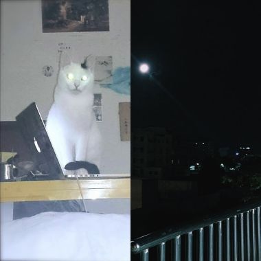 我要回家了 你要跟我走嗎