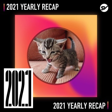 2021 個人年度精選之最