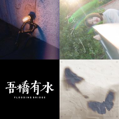 抒情?