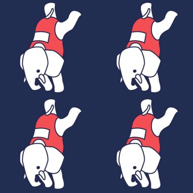 ElephantGym