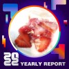 2022 個人年度精選