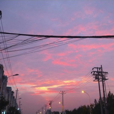   蔡维泽❤
