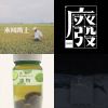 不是因为天气晴朗才爱你