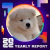 2022 個人年度精選
