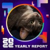 2022 個人年度精選