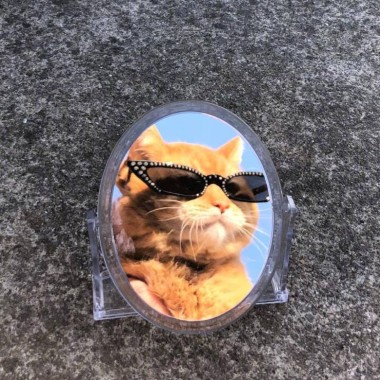 傻子与白痴
