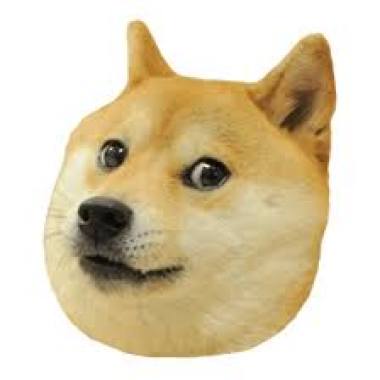 Q2hpbGwgYXMgZnVjaw==