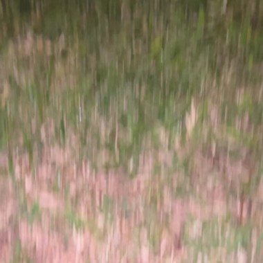 上學