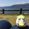 Travel