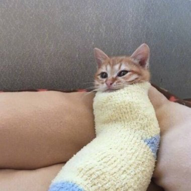 Lazy is beautiful