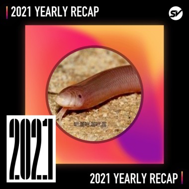 2021 個人年度精選之最