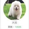 77我想出去玩