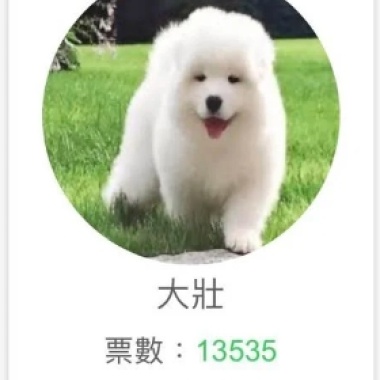 77我想出去玩