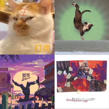 PPunk