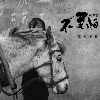 我的歌单  