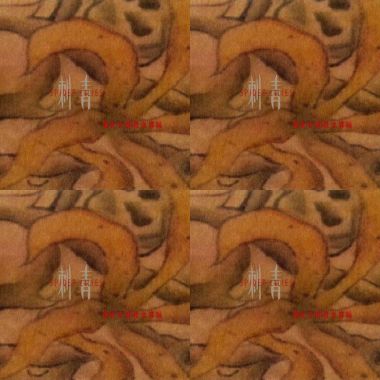 昆蟲白