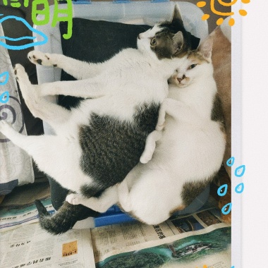 小鱼的歌单