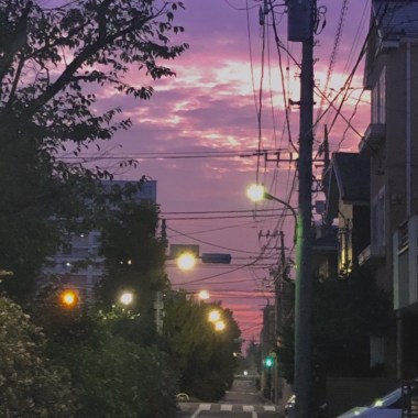夏夜晚風?