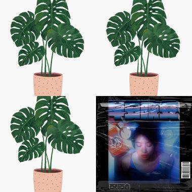 懂此大此