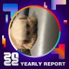 2022 個人年度精選
