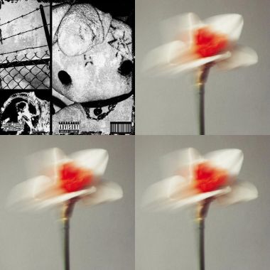 DL