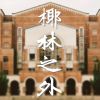 我的歌單  ?