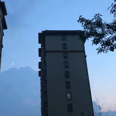蔡维泽