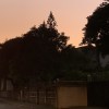 Yen是我懂