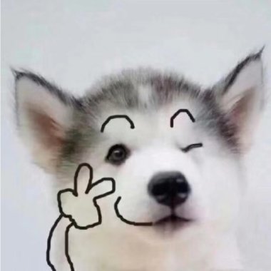 北冰洋喜欢的歌