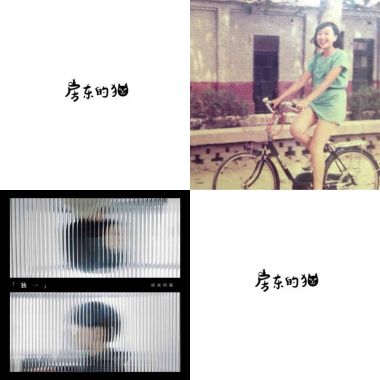 房東的貓?