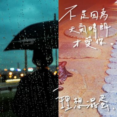 理想混蛋