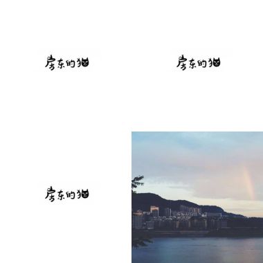 房東的貓