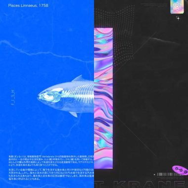 别举起手枪 这里没有反抗的人