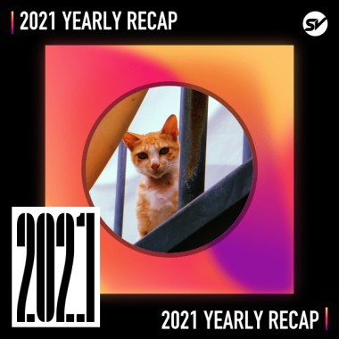 2021 個人年度精選之最