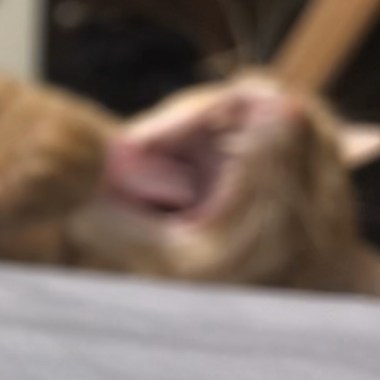 7?