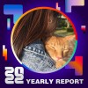 2022 個人年度精選