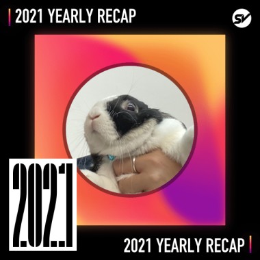 2021 個人年度精選之最